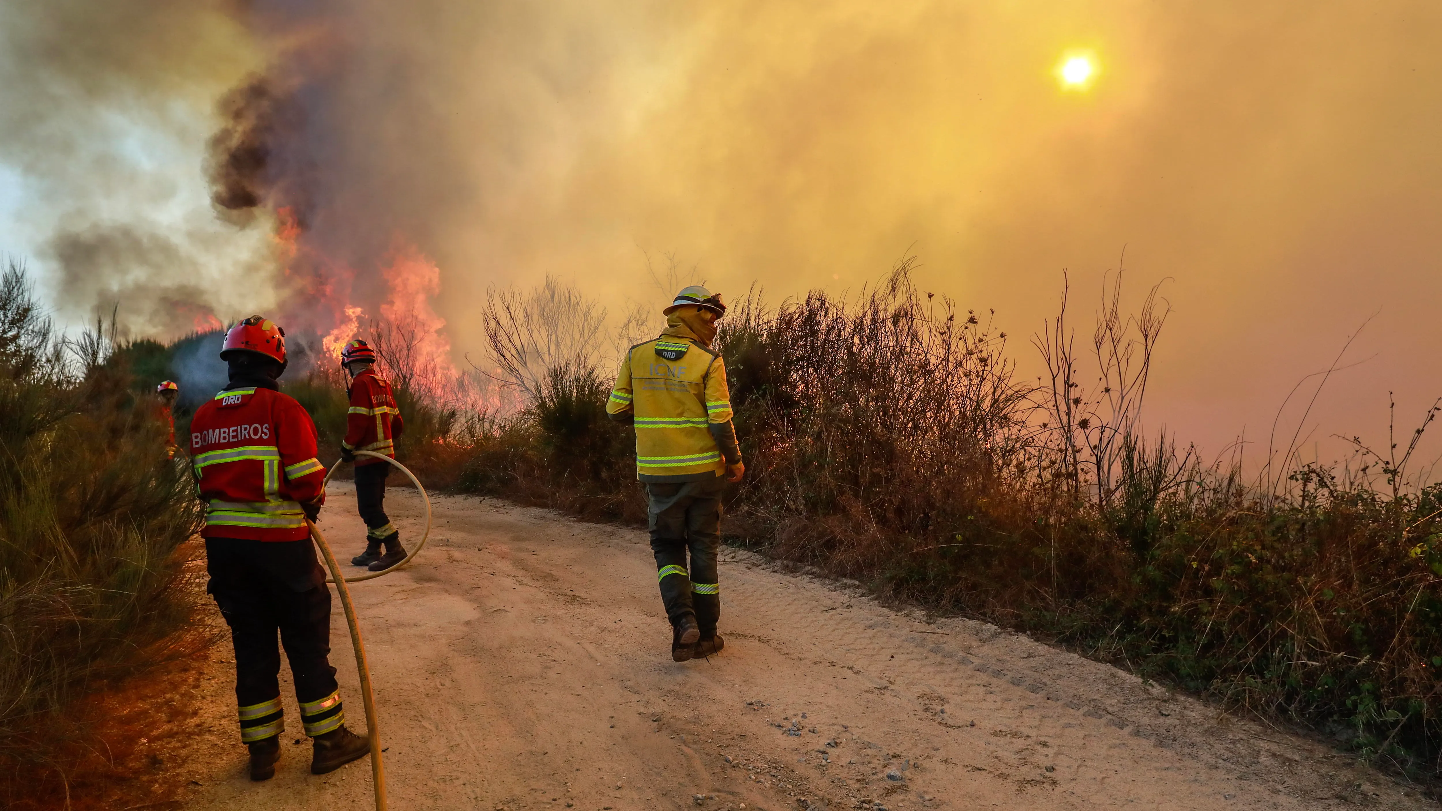Bomberos combaten un incendio en el polígono industrial de Nelas, junto a la línea ferroviaria del norte de Portugal