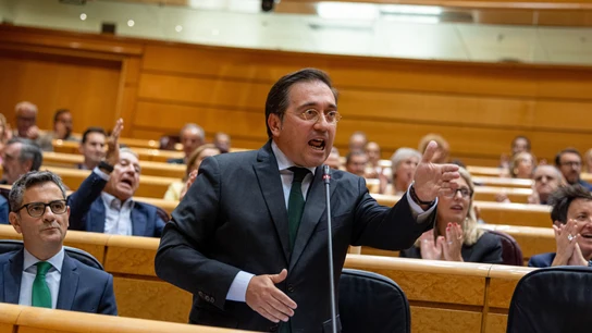 El ministro de Asuntos Exteriores, José Manuel Albares, interviene durante el Pleno del Senado este martes, en Madrid. El ministro de Asuntos Exteriores, José Manuel Albares, interviene durante el Pleno del Senado este martes, en Madrid.