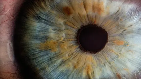 Ojo de cerca Ojo de cerca