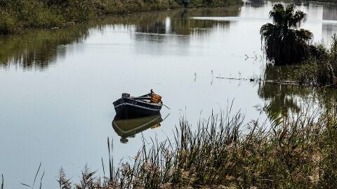 La Albufera de Valencia