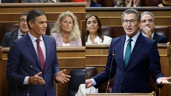 Sánchez y Feijóo en su cara a cara en el Congreso Sánchez y Feijóo en su cara a cara en el Congreso