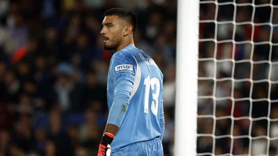 Gazzaniga Gazzaniga