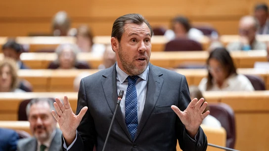 El ministro de Transportes y Movilidad Sostenible, Óscar Puente, durante el Pleno del Senado El ministro de Transportes y Movilidad Sostenible, Óscar Puente, durante el Pleno del Senado