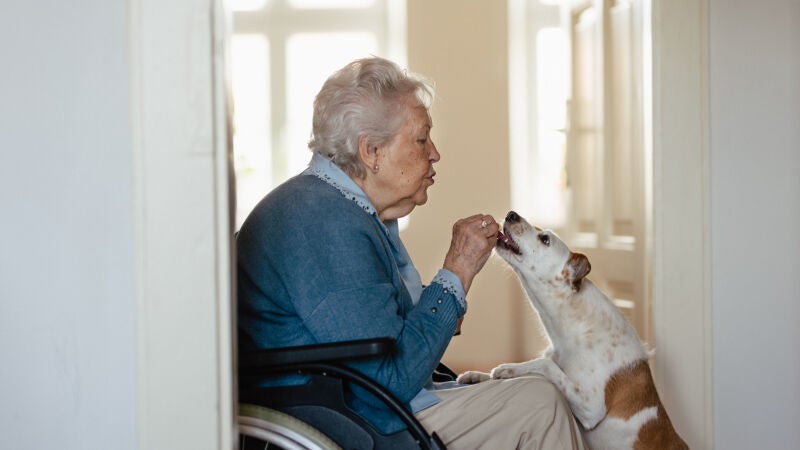 Los humanos usan voces específicas para hablar con los perros