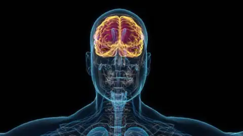 Cuál es el proceso que sigue nuestro cerebro a la hora de decidir qué recordar y que no Cuál es el proceso que sigue nuestro cerebro a la hora de decidir qué recordar y que no