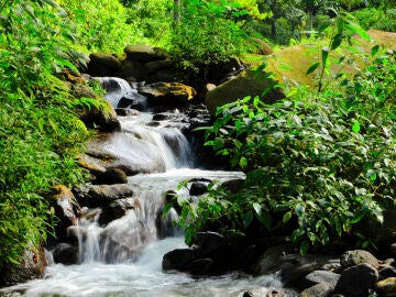 Foto de archivo de una cascada pequeña