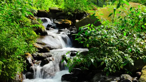 Foto de archivo de una cascada pequeña Foto de archivo de una cascada pequeña