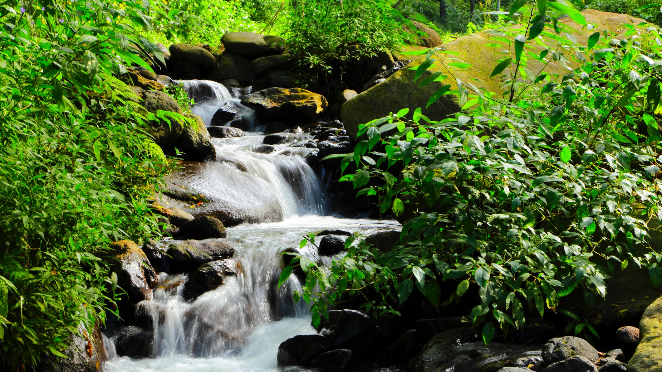 Foto de archivo de una cascada pequeña Foto de archivo de una cascada pequeña