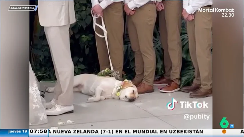 Una pareja a punto de darse el 'sí quiero' estalla de la risa al ver a su perro dormido en plena boda