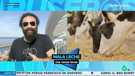 El Sevilla analiza la rebelión de las vacas contra los humanos en Reino Unido El Sevilla analiza la rebelión de las vacas contra los humanos en Reino Unido