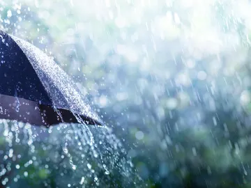 Lluvia Lluvia