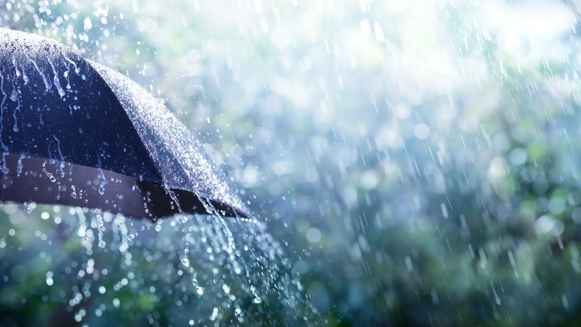 Lluvia Lluvia