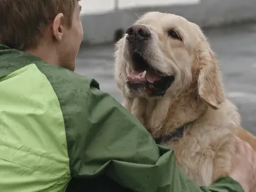 ¿Cuánto vivirá tu perro? Un veterinario responde a la pregunta más difícil ¿Cuánto vivirá tu perro? Un veterinario responde a la pregunta más difícil