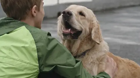 ¿Cuánto vivirá tu perro? Un veterinario responde a la pregunta más difícil ¿Cuánto vivirá tu perro? Un veterinario responde a la pregunta más difícil
