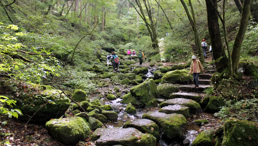 Monte Mitake Monte Mitake