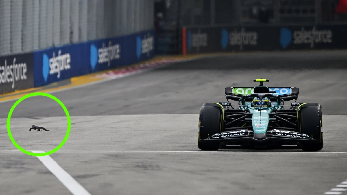 Alonso esquiva a un lagarto en Marina Bay