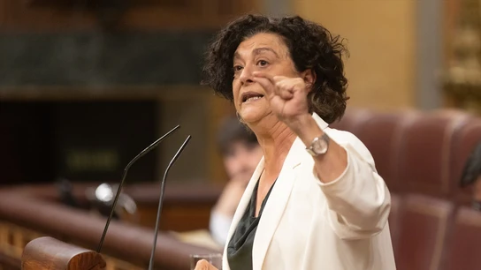 La diputada de ERC Pilar Vallugera interviene durante una sesión plenaria, en el Congreso La diputada de ERC Pilar Vallugera interviene durante una sesión plenaria, en el Congreso