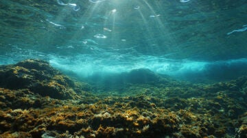 Fondo del mar