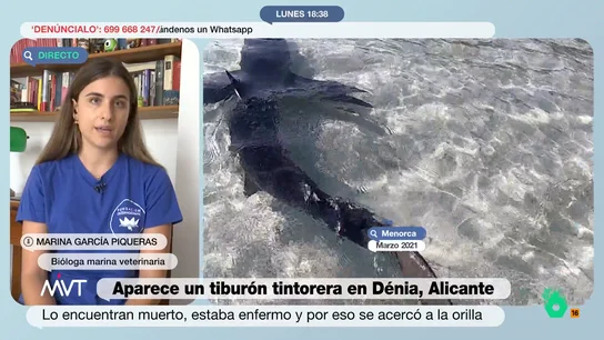 MVT Biologa MVT Biologa