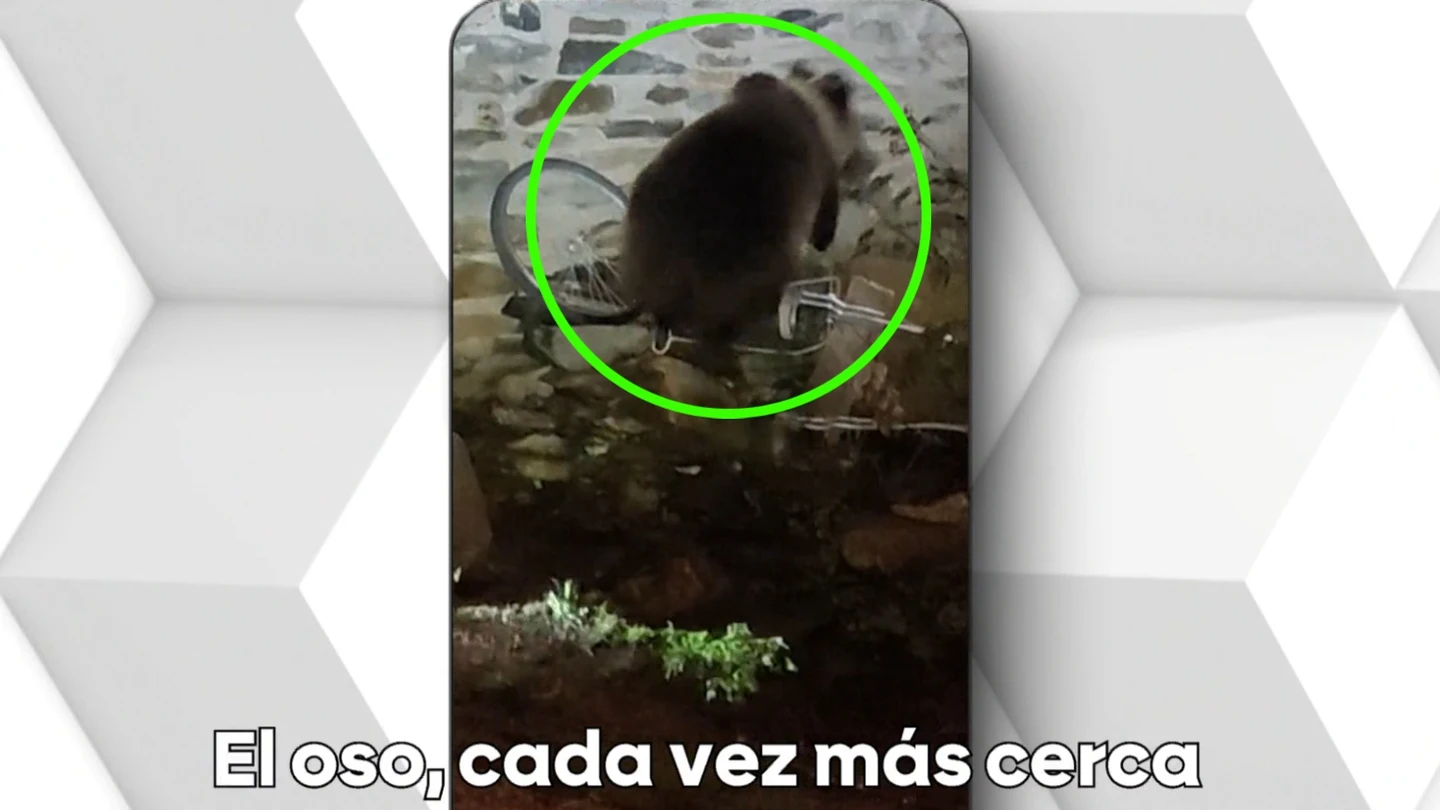 Un oso, en un pueblo Un oso, en un pueblo