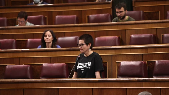 La diputada de ERC en el Congreso, Montse Bassa, en una imagen de archivo La diputada de ERC en el Congreso, Montse Bassa, en una imagen de archivo