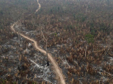 incendios en Brasil