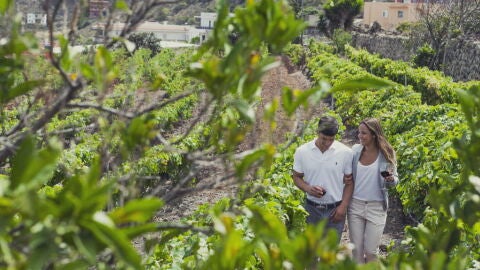 Pareja de paseo y cata por los viñedos de Tegueste