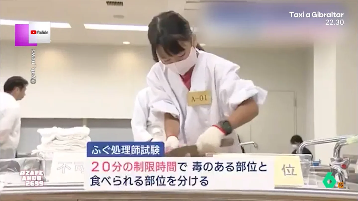Una niña japonesa obtiene el título para cocinar el pez más venenoso del mundo: "¿No es mejor optar por un espeto?" Para poder manipular y cocinar el pez fugu es necesario superar un examen. Aunque el plato, en Japón, es una delicia para sibaritas en Europa está prohibido su consumo debido a su toxicidad.