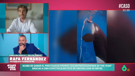 Rafa Fernández, fotógrafo submarino: "La orca es el depredador top, pero nunca ha atacado a un ser humano" "Pocas cosas hay más espectaculares que ver al animal más grande del mundo comiendo a dos metros de ti", afirma en este vídeo Rafa Fernández, que por esta foto ha conseguido el prestigioso premio 'Ocean Photographer of the Year'.