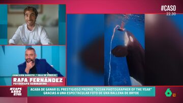 Rafa Fernández, fotógrafo submarino: "La orca es el depredador top, pero nunca ha atacado a un ser humano"