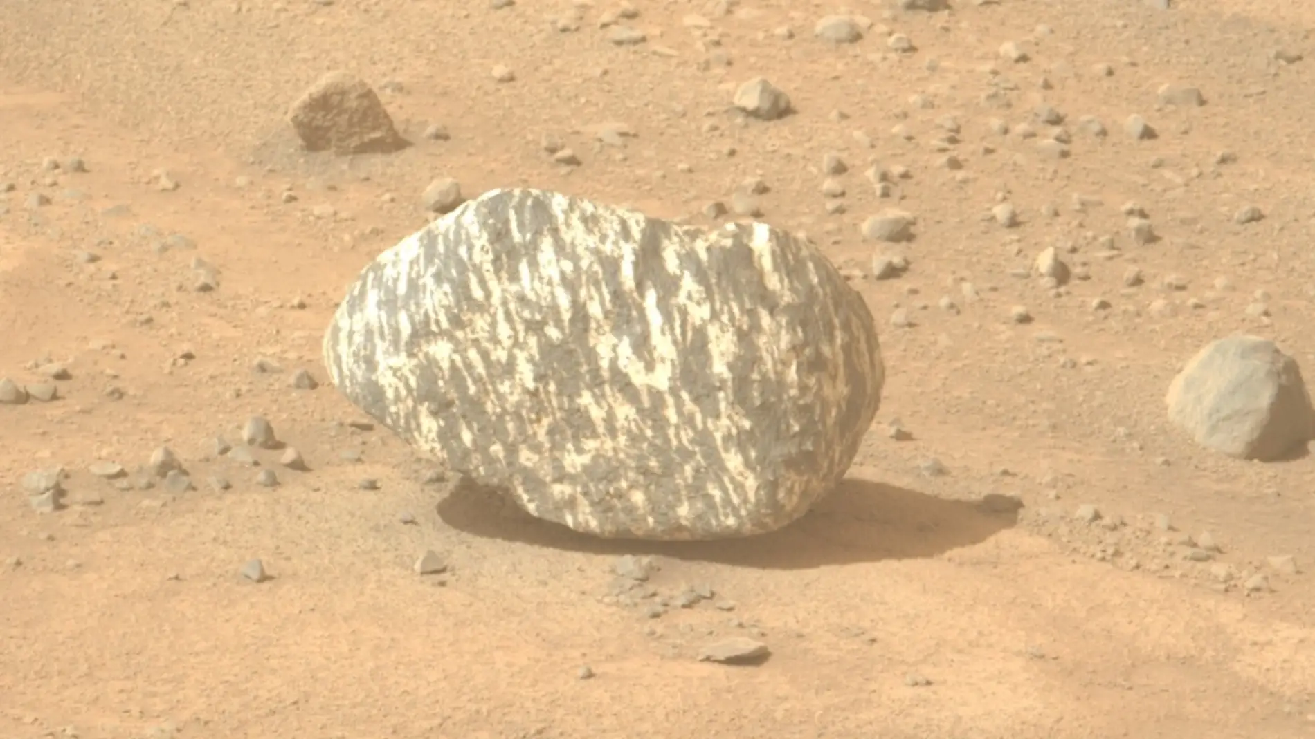 Imagen de la "piedra-cebra" descubierta en Marte Imagen de la "piedra-cebra" descubierta en Marte
