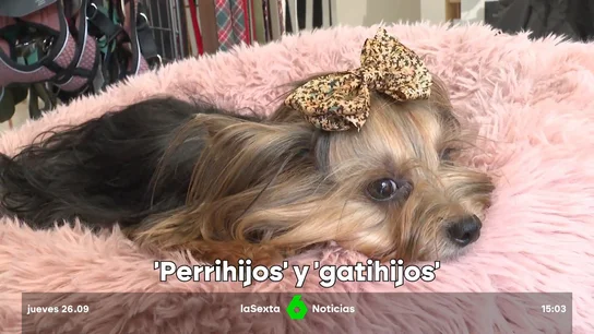 lujo para perros lujo para perros
