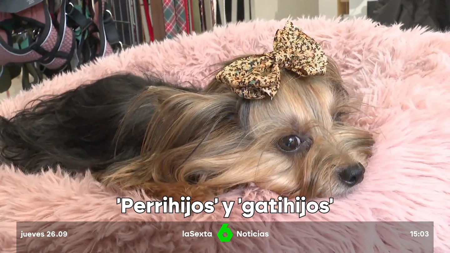 lujo para perros lujo para perros