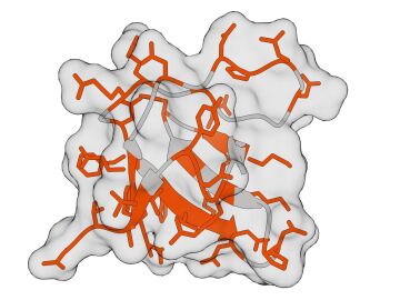 Proteína GRB2-SH3