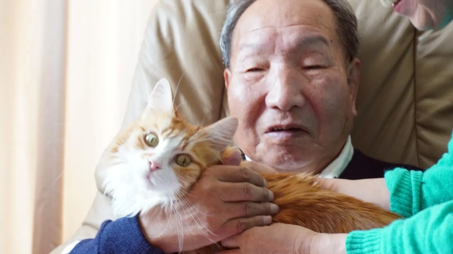 Japón absuelve a Iwao Hakamada, el preso que más tiempo pasó en el corredor de la muerte Iwao Hakamada junto a su gato en su casa