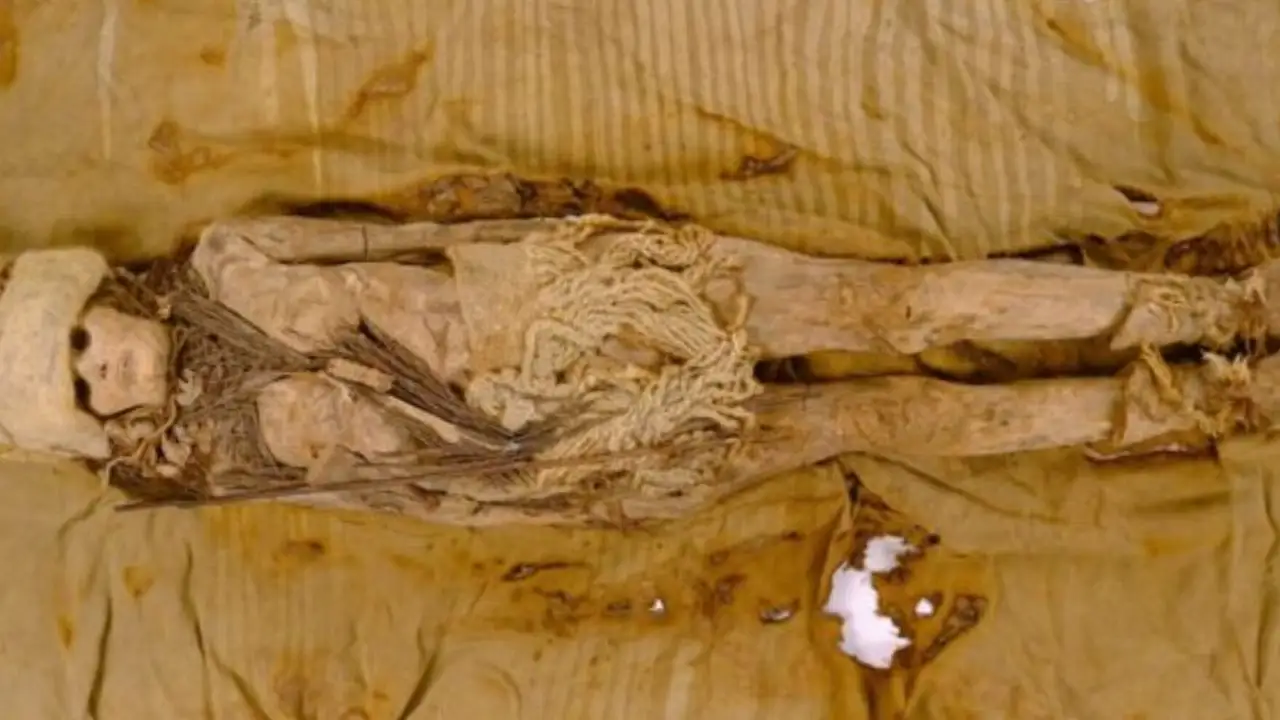 Hallan restos del queso más antiguo del mundo en unas momias chinas de 3.600 años