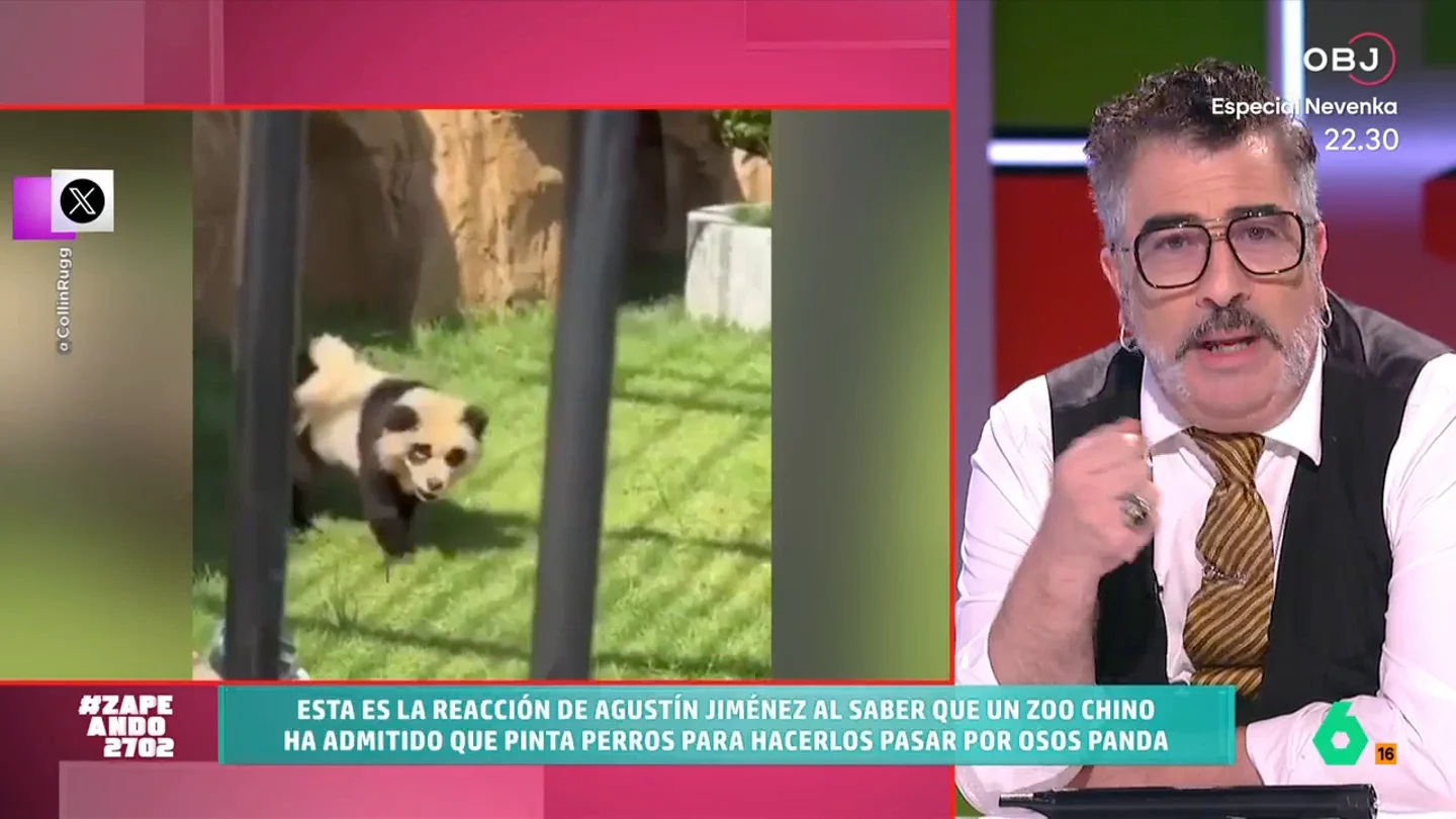 Agustín Jiménez, sobre los perros pintados de panda en un zoo Agustín Jiménez analiza el caso del zoo chino que ha admitido que pintó de panda unos perros chow chow y en este vídeo asegura que esto "puede haber destapado un fraude muy habitual" e imagina cómo sería con otros animales.