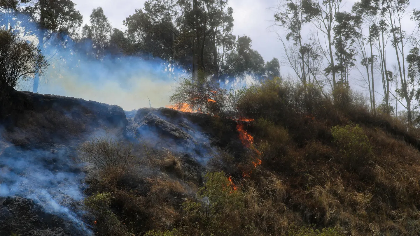 Detenido un joven de 19 años acusado de ser el causante del incendio que asola Quito Imagen de uno de los focos del incendio