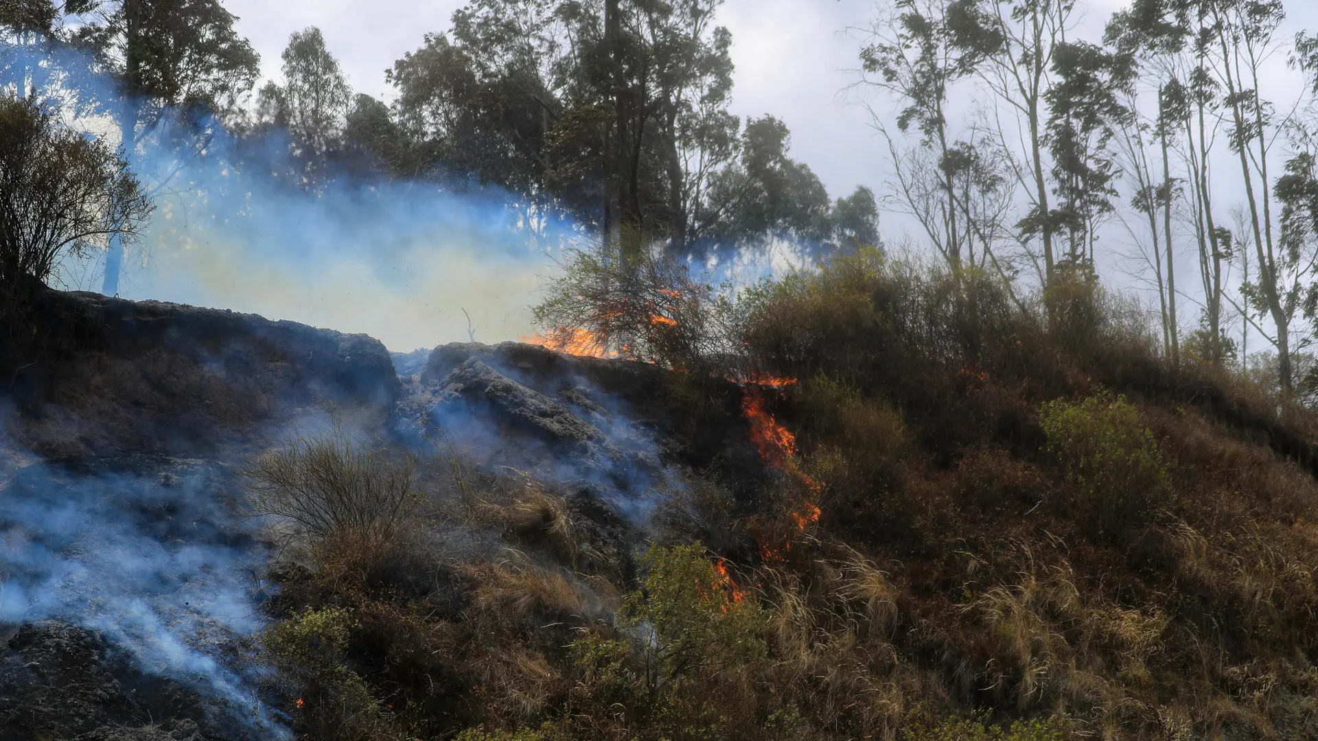 Imagen de uno de los focos del incendio