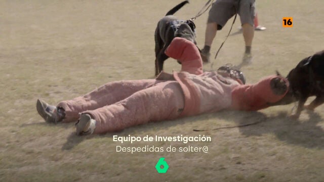 Equipo de Investigación Despedidas de soltero