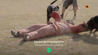 Equipo de Investigaci&oacute;n Despedidas de soltero