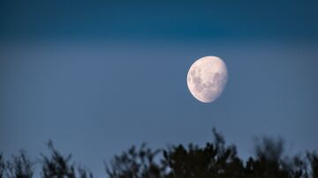 Imagen de la luna menguante en el cielo. En los próximos meses no se verá tan sola.