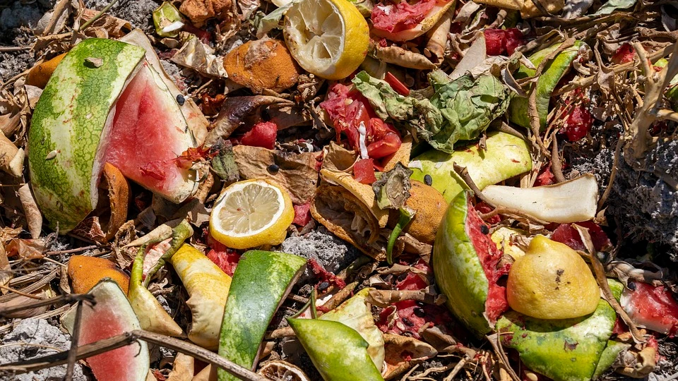 Comida en la basura