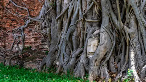 Ayutthaya Ayutthaya