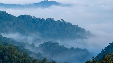 Complejo de los bosques de Kaeng Krachan