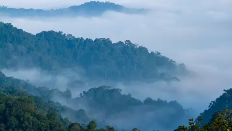 Complejo de los bosques de Kaeng Krachan Complejo de los bosques de Kaeng Krachan