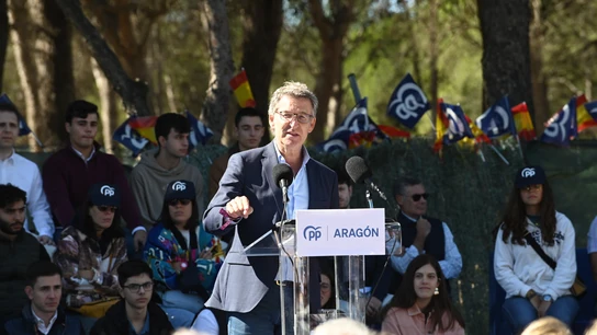 El presidente del Partido Popular, Alberto Núñez, interviene durante el acto del Día del Afiliado del PP de Aragón El presidente del Partido Popular, Alberto Núñez, interviene durante el acto del Día del Afiliado del PP de Aragón
