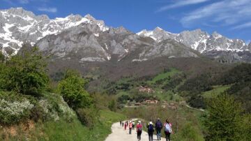 Camino Lebaniego