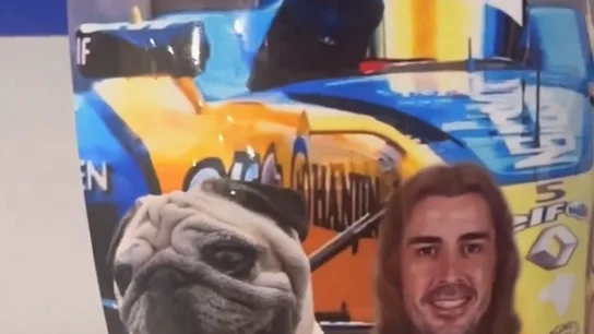 Espinilleras de Villalibre Espinilleras de Villalibre