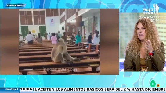 La reacción de Angie Cárdenas al viral de un mono en misa: "¿No crees que está controlando el cepillo?" La reacción de Angie Cárdenas al viral de un mono en misa: "¿No crees que está controlando el cepillo?"